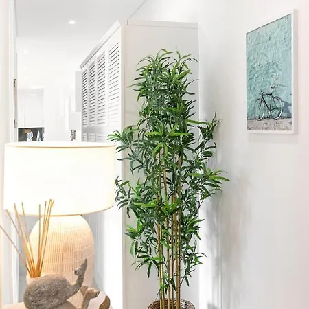 Appartement Consolação&supertubos - House Ii *